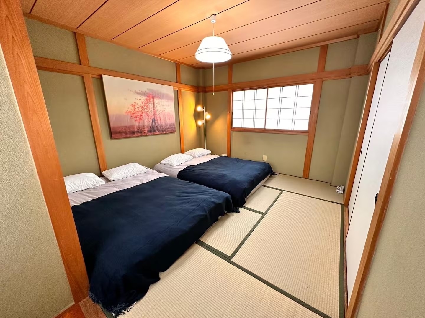 MOMODANI